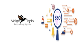 SEO Dubai_ Where Volga Tigris Deliver Top Rankings