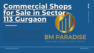 Commercial Shops for Sale in Sector 113 Gurgaon