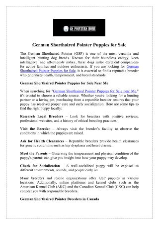 Top German Shorthaired Pointer Breeders in Canada Now