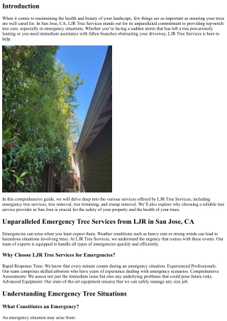 Unparalleled Emergency Tree Services from LJR in San Jose, CA