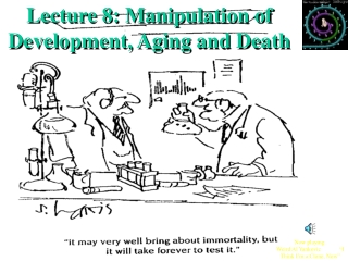 Lecture 8: Manipulation of Development, Aging and Death