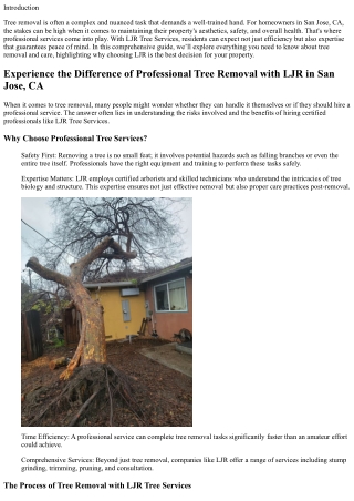 Experience the Difference of Professional Tree Removal with LJR in San Jose, CA