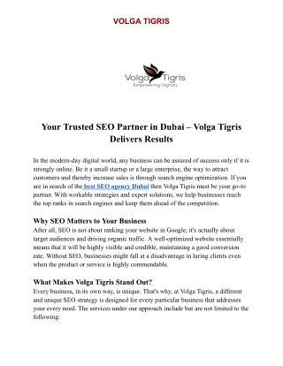 Your Trusted SEO Partner in Dubai – Volga Tigris Delivers Results