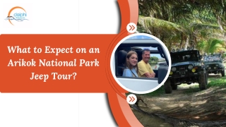 What to Expect on an Arikok National Park Jeep Tour