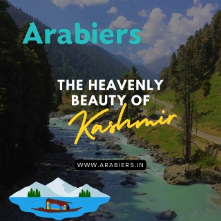 Exploring Kashmir: A Comprehensive Guide to Travel in Paradise