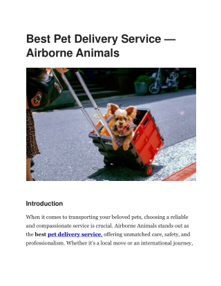 Best Pet Delivery Service – Airborne Animals