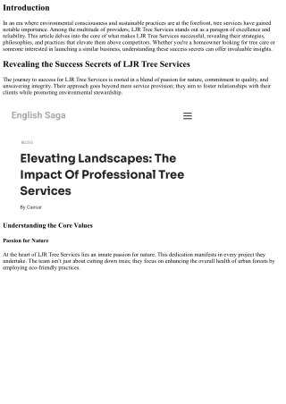 Revealing the Success Secrets of LJR Tree Services