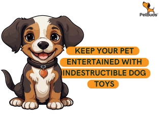 Keep Your Pet Entertained with Indestructible Dog Toys