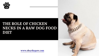 The Role of Chicken Necks in a Raw Dog Food Diet