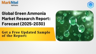 Green Ammonia Market Insights, Share & Growth Trends 2025 to 2030