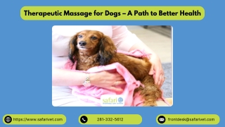 Therapeutic Massage for Dogs – A Path to Better Health