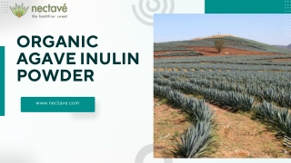 Organic Agave Inulin Powder