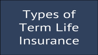 What Are The Two Types Of Term Life Insurance