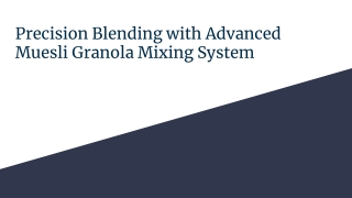 Precision Blending with Advanced Muesli Granola Mixing System