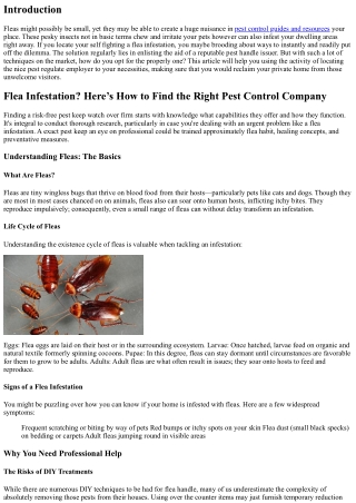 Flea Infestation? Here’s How to Find the Right Pest Control Company