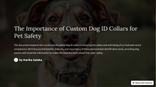 The-Importance-of-Custom-Dog-ID-Collars-for-Pet-Safety