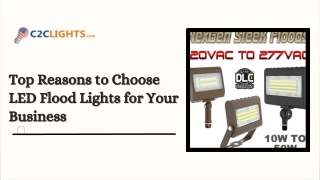 Top Reasons to Choose LED Flood Lights for Your Business