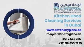 Kitchen Hood Cleaning Services in Dubai