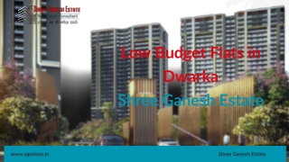 Shree Ganesh Estate Introducing Low Budget Flats in Dwarka