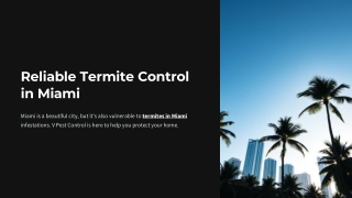 Reliable Termite Control in Miami – V Pest Control