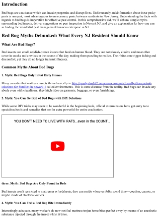 Bed Bug Myths Debunked: What Every NJ Resident Should Know