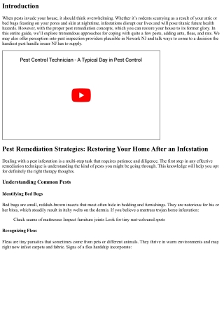 Pest Remediation Strategies: Restoring Your Home After an Infestation