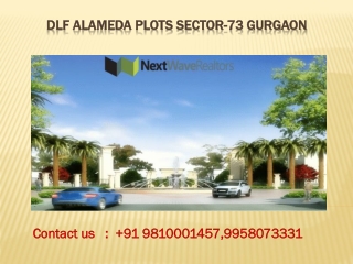 dlf alameda Plots sector 73 gurgaon