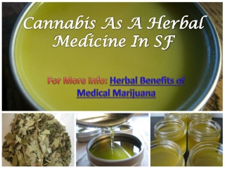 Cannabis As A Herbal Medicine In SF