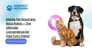 Mobile Pet Grooming Boca Raton – The Ultimate Convenience for Your Furry Friend