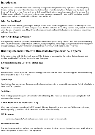 Bed Bugs Banned: Effective Removal Strategies from NJ Experts