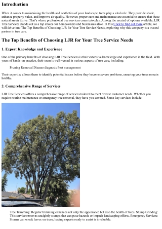 The Top Benefits of Choosing LJR for Your Tree Service Needs