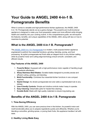 Your Guide to ANGEL 2400 4-in-1 B