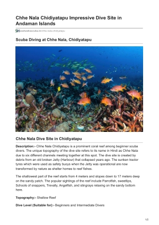 Scuba diving at Chhe Nala dive site, Chidiyatapu