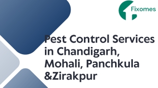 Pest Control Services in Chandigarh, Mohali, Panchkula &Zirakpur