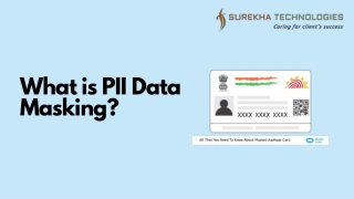 What is PII Data Masking