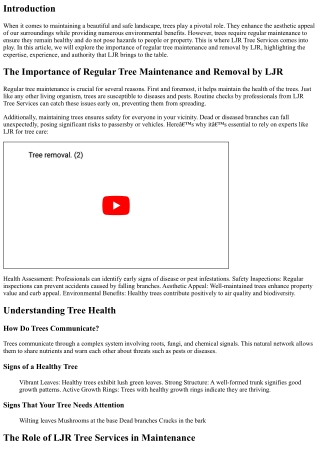 The Importance of Regular Tree Maintenance and Removal by LJR