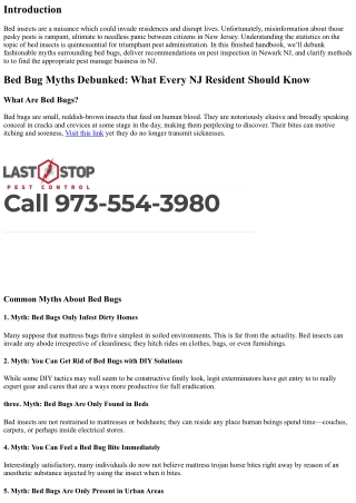 Bed Bug Myths Debunked: What Every NJ Resident Should Know
