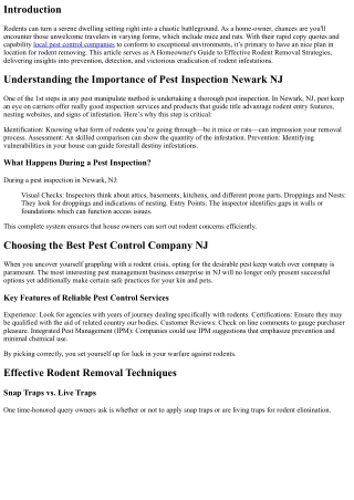 A Homeowner's Guide to Effective Rodent Removal Strategies
