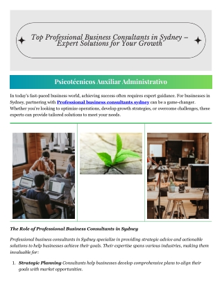 Professional business consultant sydney