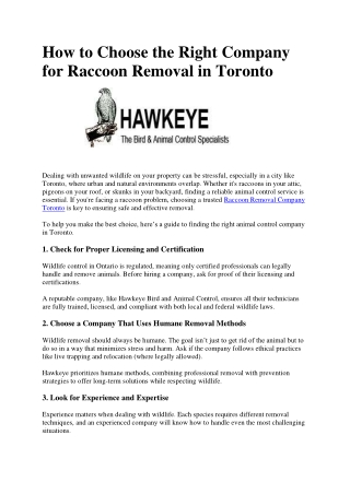 How to Choose the Right Company for Raccoon Removal in Toronto