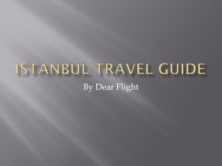 Istanbul Travel Information