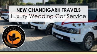 Luxury Wedding Car Service in Chandigarh | New Chandigarh Travels