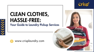 Clean Clothes, Hassle-Free  Your Guide to Laundry Pickup Services