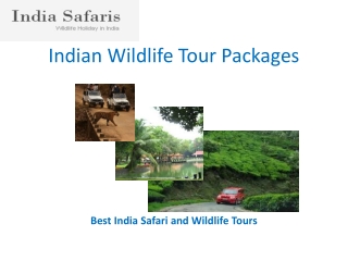 Indian Wildlife Tour Packages