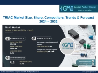 TRIAC Market Size, Share, Competitors, Trends & Forecast 2024 – 2032