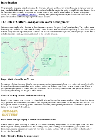 The Importance of Proper Gutter Downspout Cleaning for Water Management in Verno