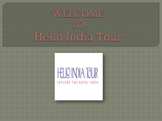 Guided Tours | Hello India Tour