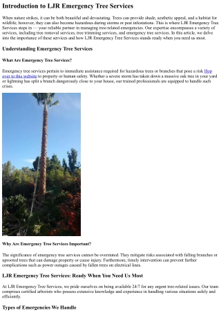 LJR Emergency Tree Services: Ready When You Need Us Most