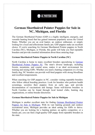 German Shorthaired Pointer Puppies for Sale Michigan