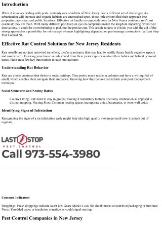 Effective Rat Control Solutions for New Jersey Residents